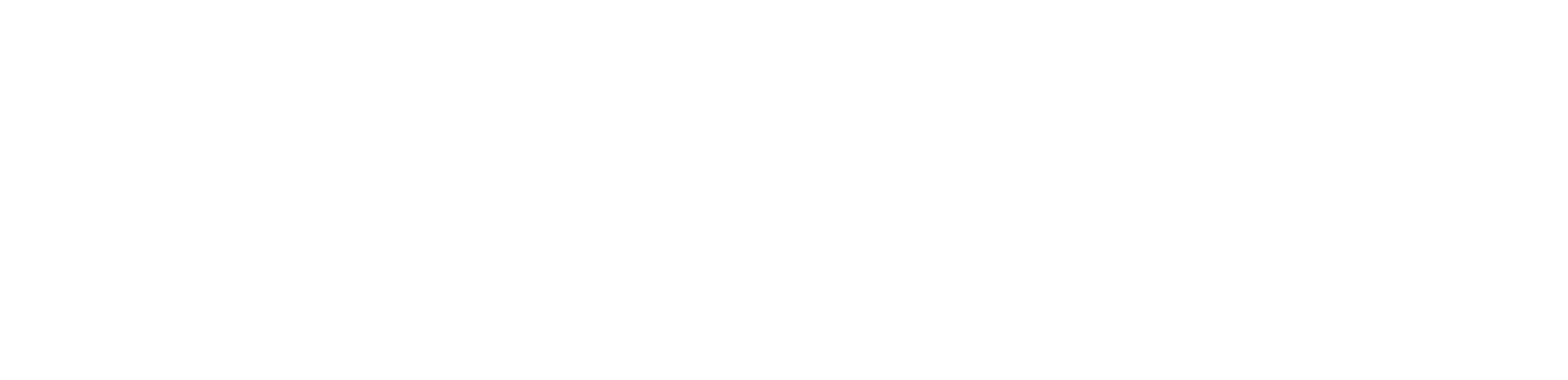 ShallowSky Store
